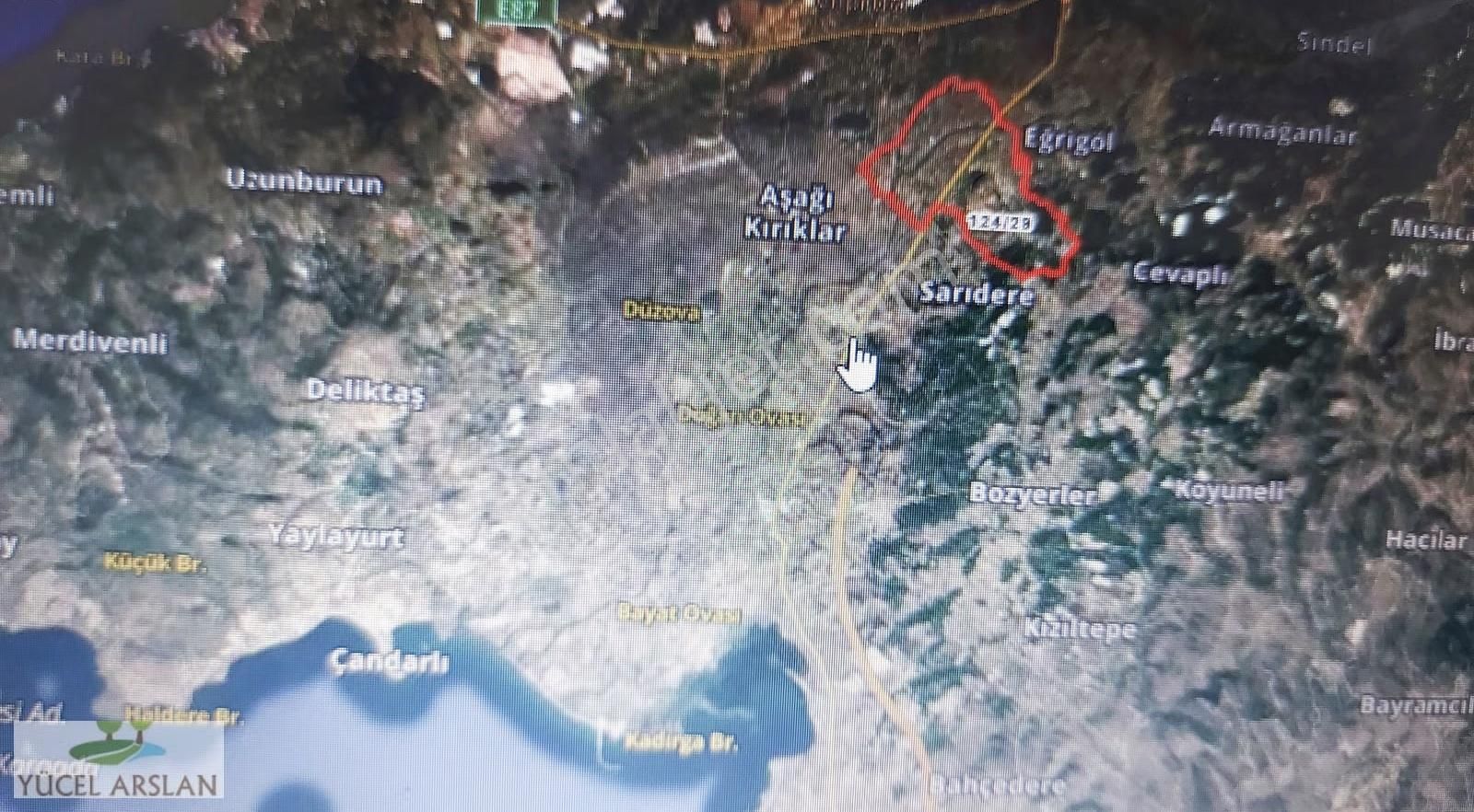 Bergama Bozköy De Satılık Zeytinlik