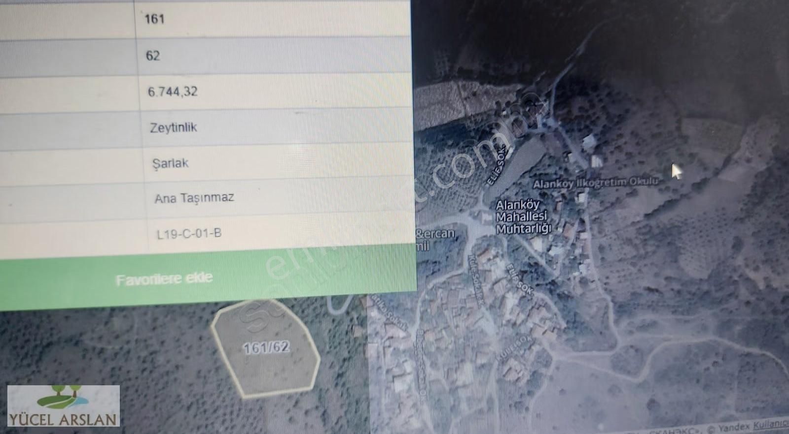 Bergama Bozköy De Satılık Zeytinlik - Görsel 2