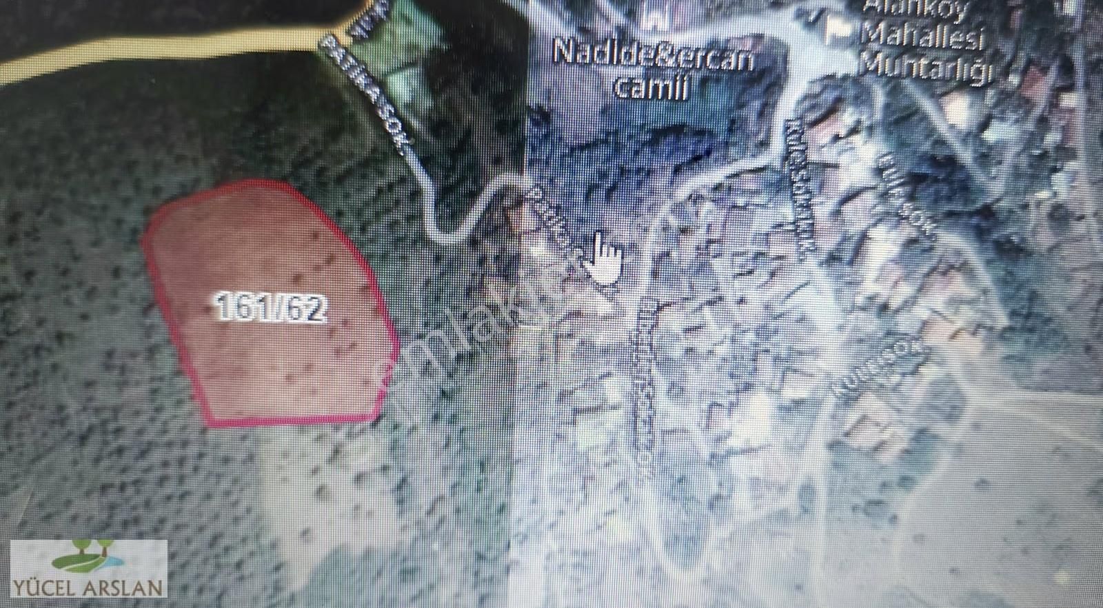 Bergama Bozköy De Satılık Zeytinlik - Görsel 9