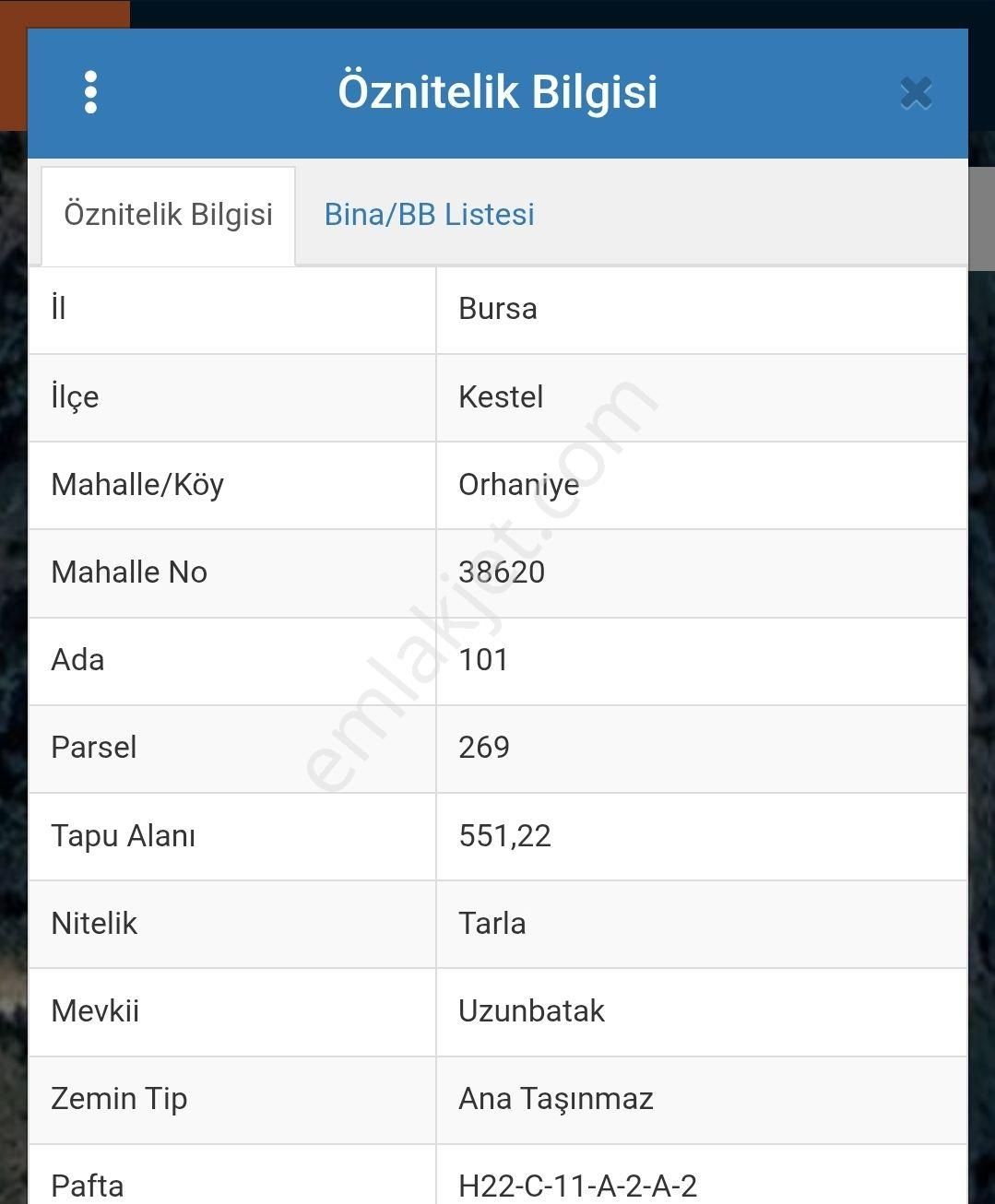 Kestel Orhaniye'de Satılık Arazi - Görsel 4