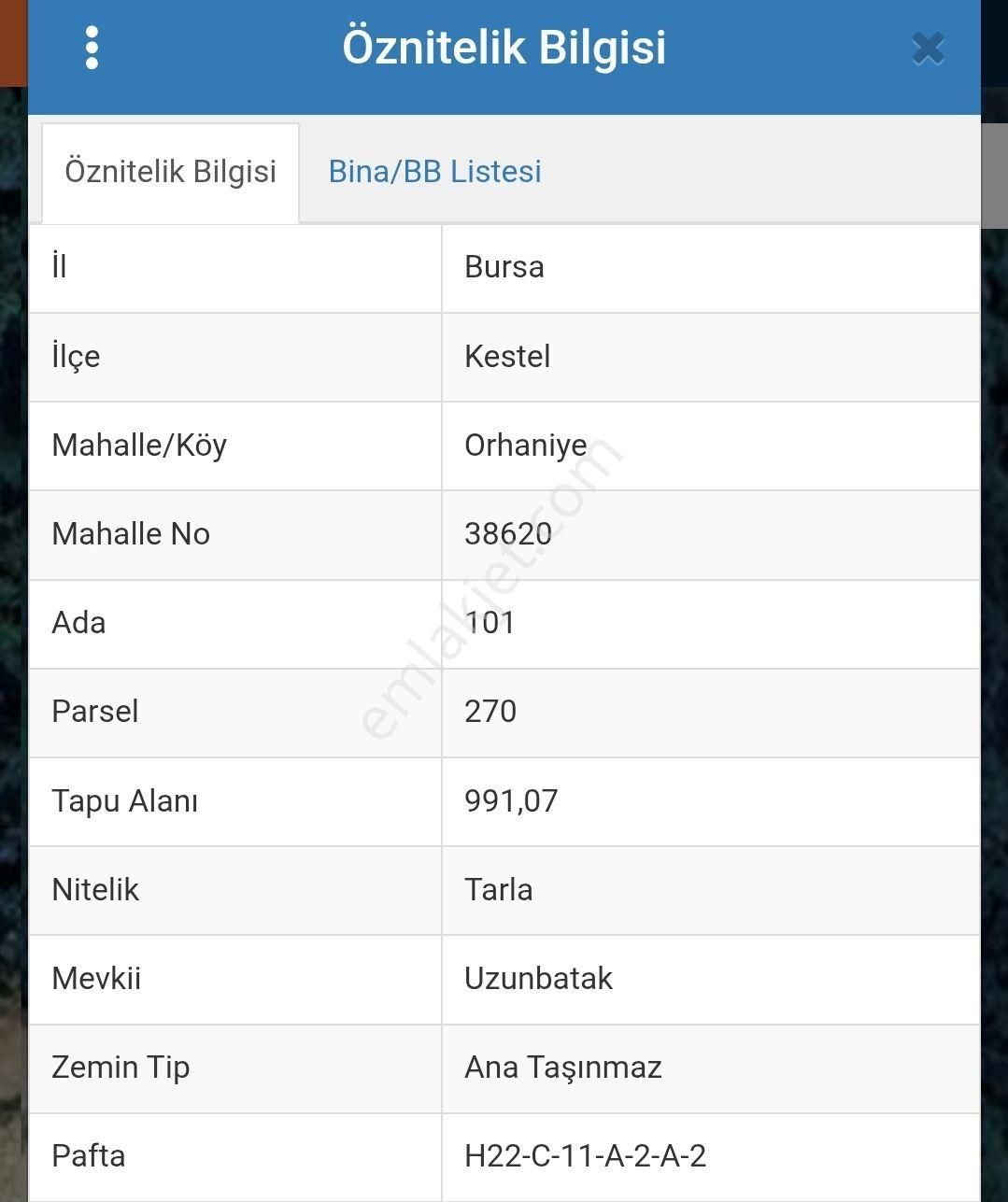 Kestel Orhaniye'de Mahalle Merkezine Yakın Satılık Araz - Görsel 4