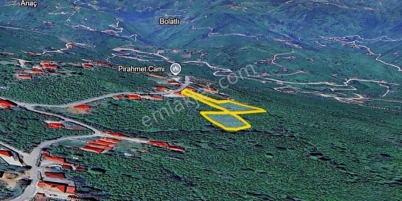 Perşembe Saray Mahallesinde 2.922 M2 Ev Yapımına Uygun Arsa - Görsel 2
