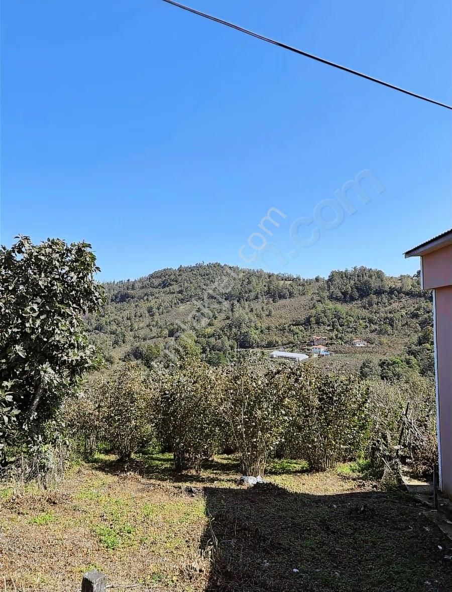 Perşembe Saray Mahallesinde 2.922 M2 Ev Yapımına Uygun Arsa - Görsel 7