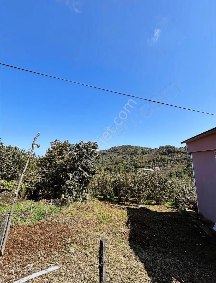 Perşembe Saray Mahallesinde 2.922 M2 Ev Yapımına Uygun Arsa - Görsel 9