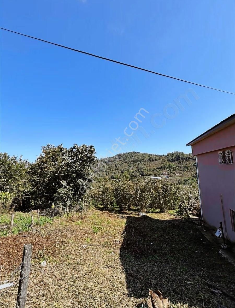 Perşembe Saray Mahallesinde 2.922 M2 Ev Yapımına Uygun Arsa - Görsel 3