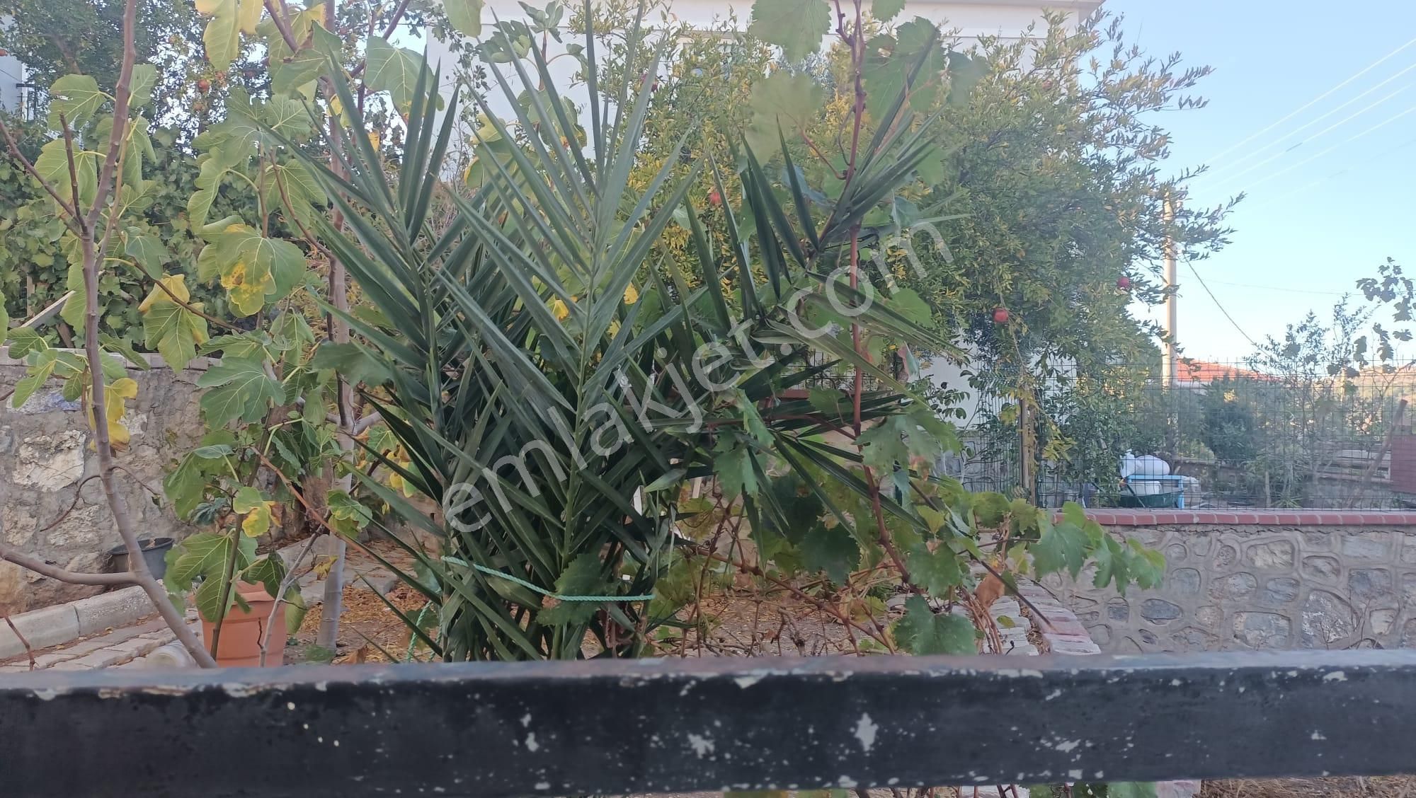 Alaçatı Gayrimenkulden Çeşme Marina Ve Merkeze Yakın Satılık Villa - Görsel 4