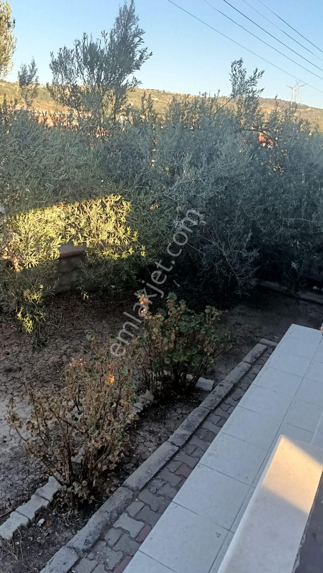 Alaçatı Gayrimenkulden Çeşme Marina Ve Merkeze Yakın Satılık Villa - Görsel 9