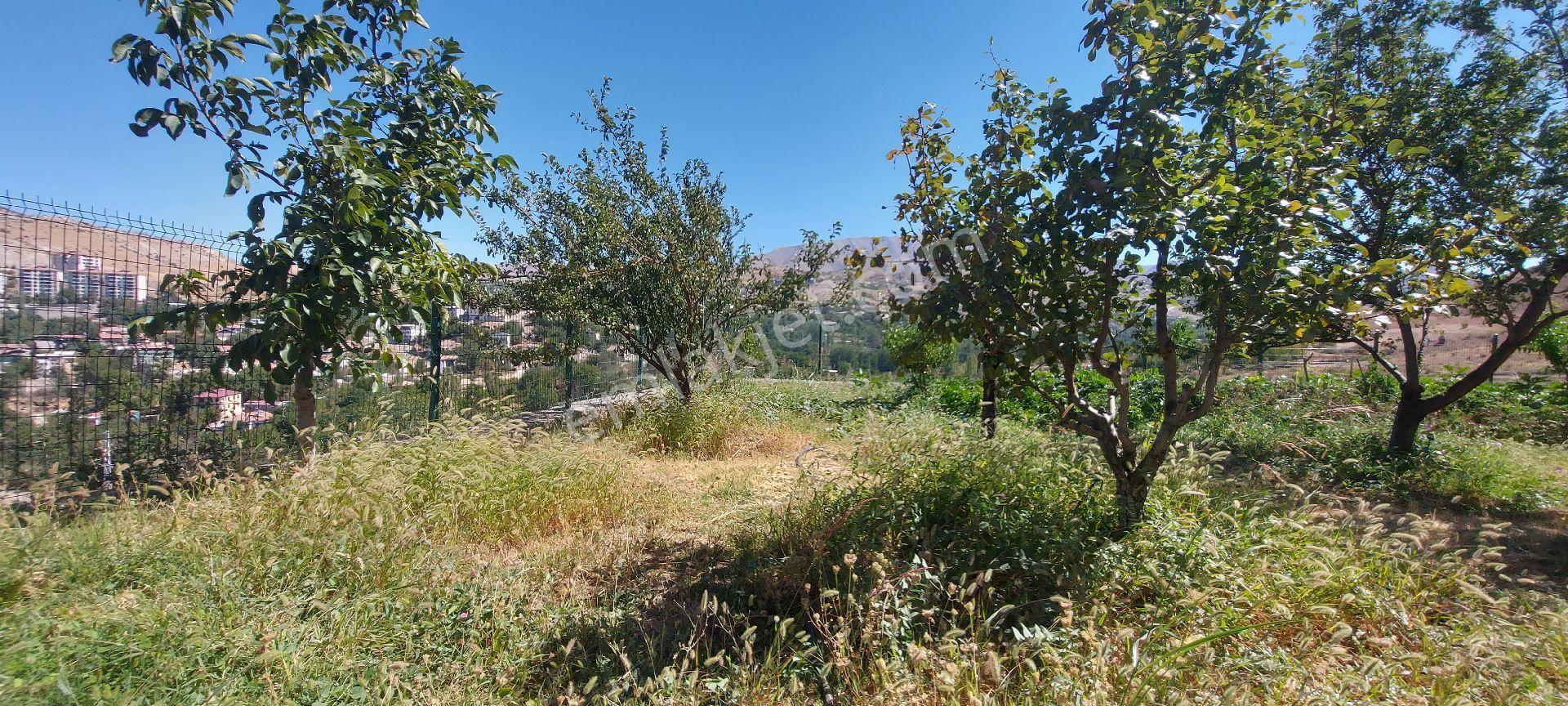 Değer'den Yeşilyurt Mollakasım Da 1100 M2 Arsa Alanı 4+1 Villa - Görsel 32