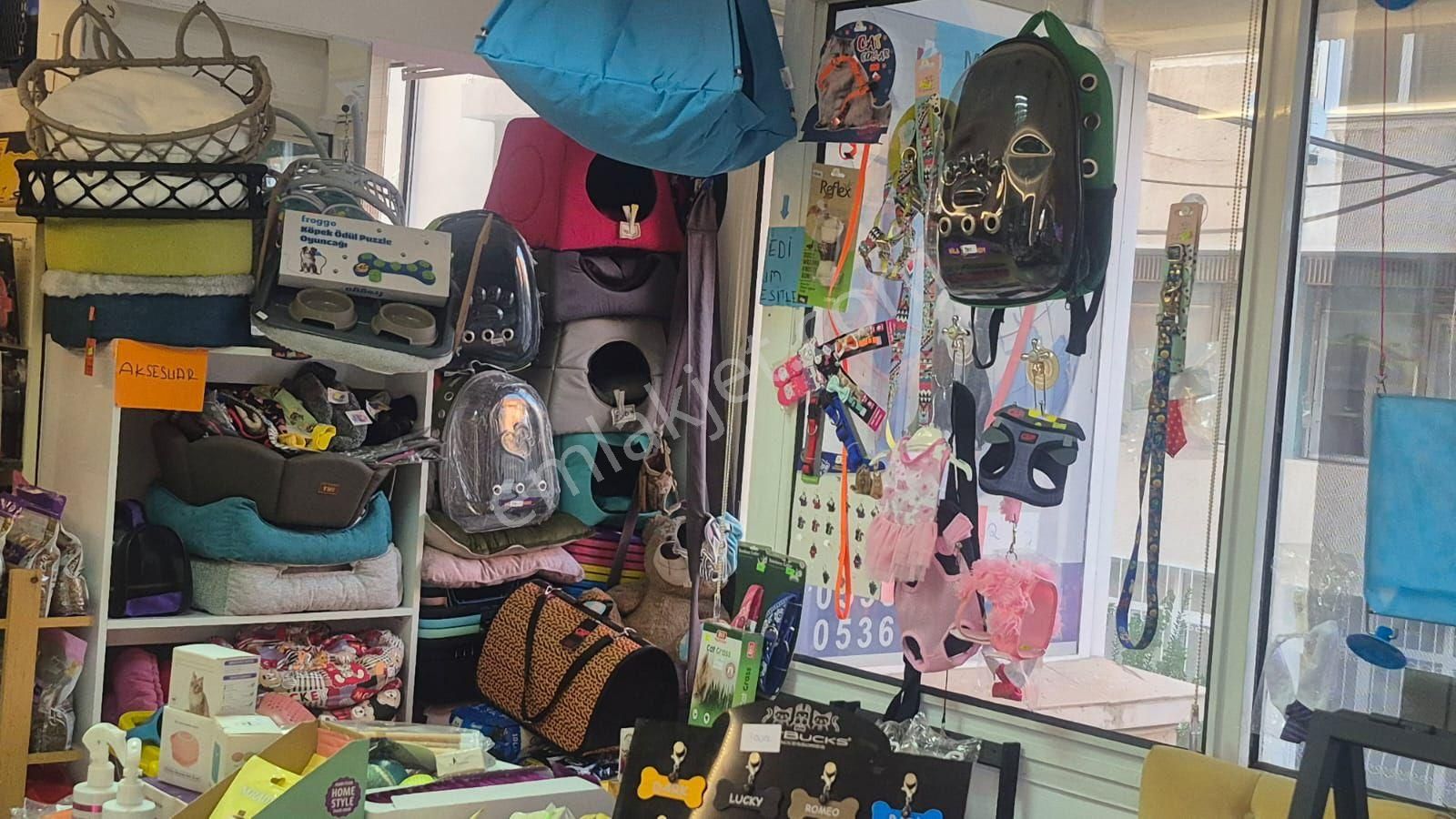 İnönü Caddesi Uzerinde Devren Kiralik Petshop - Görsel 4