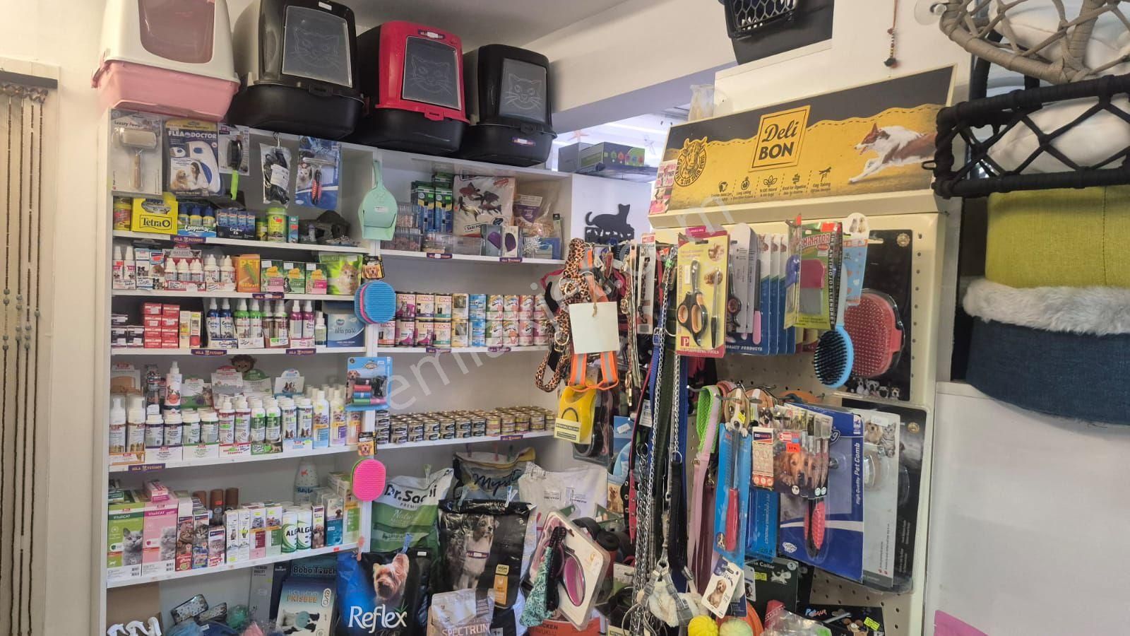 İnönü Caddesi Uzerinde Devren Kiralik Petshop - Görsel 14