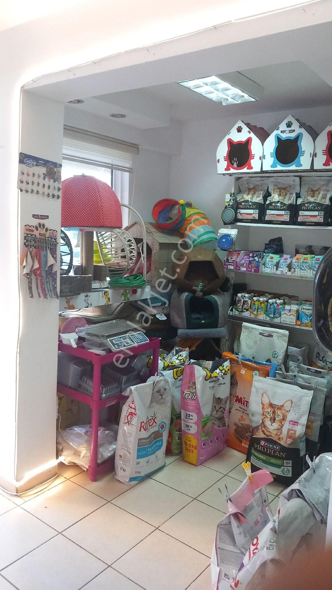 İnönü Caddesi Uzerinde Devren Kiralik Petshop - Görsel 23