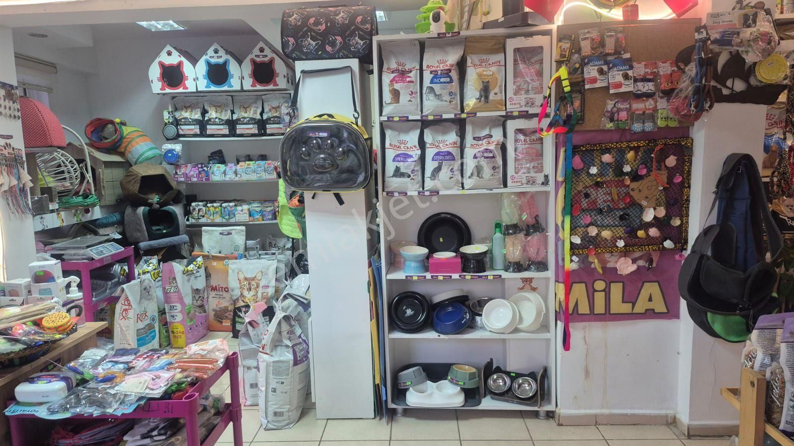 İnönü Caddesi Uzerinde Devren Kiralik Petshop - Görsel 20