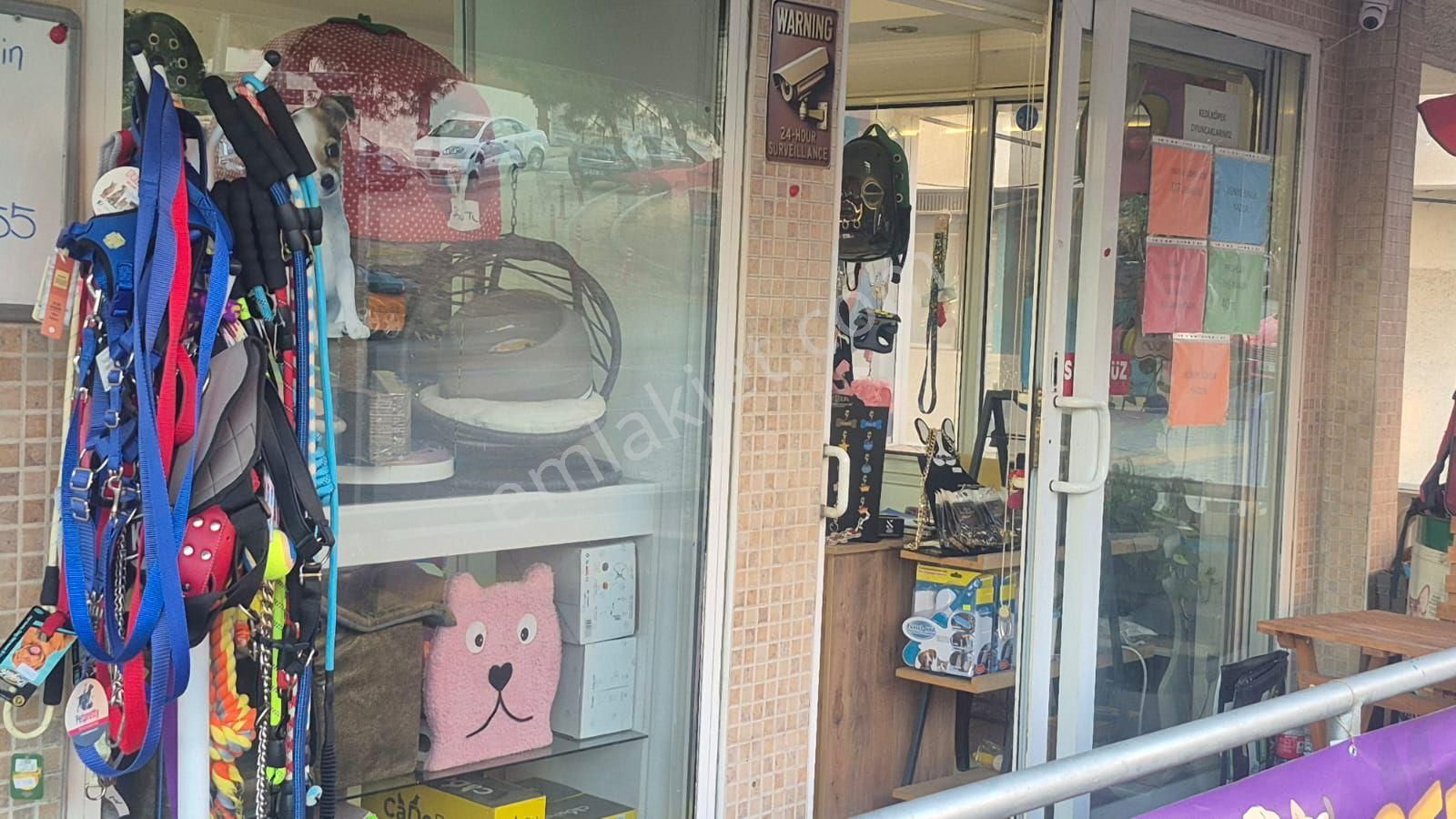 İnönü Caddesi Uzerinde Devren Kiralik Petshop - Görsel 2