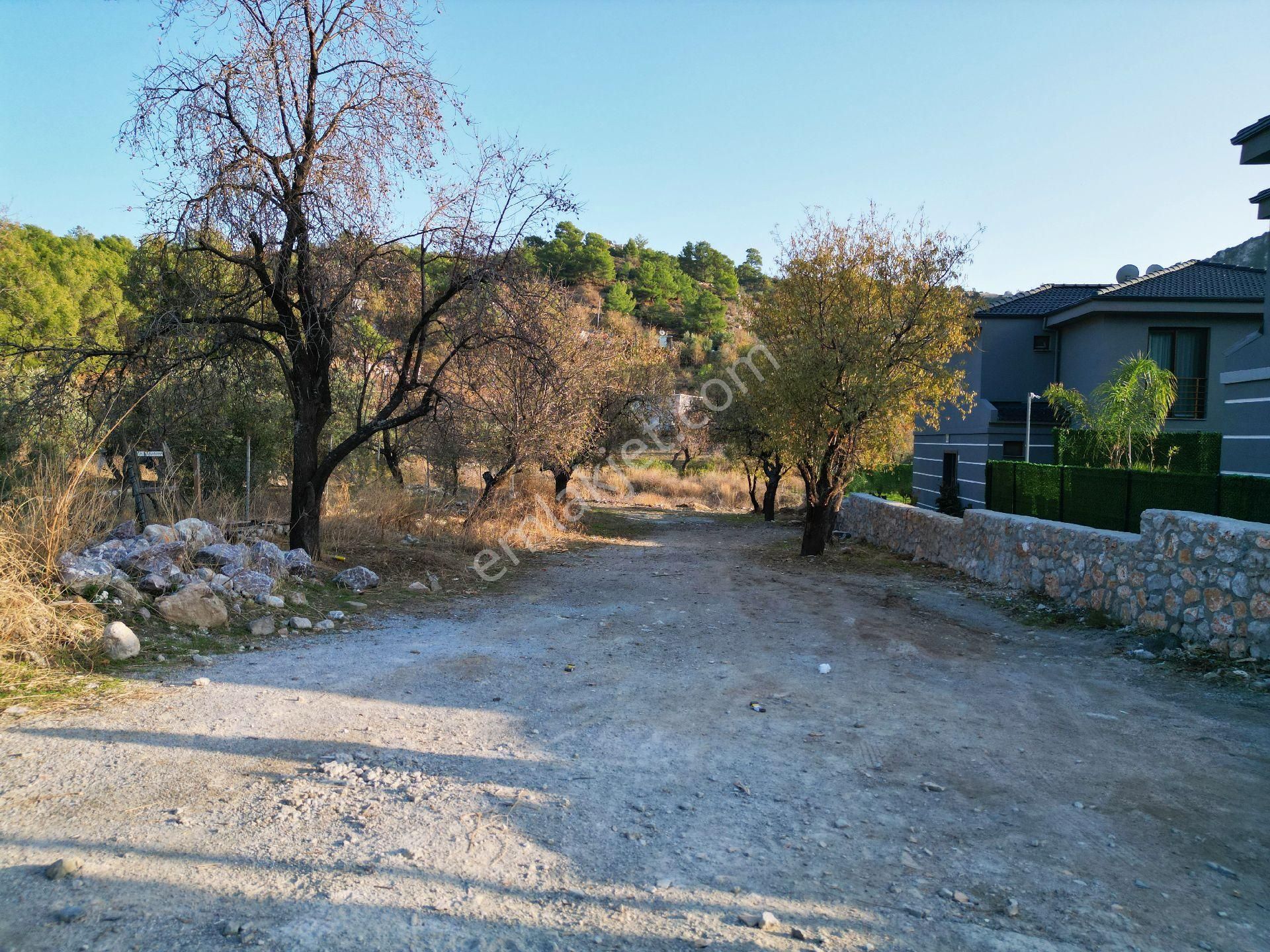 Joker: Marmaris Söğüt Kırsal Yerleşik Alanda Yol Cephe Satılık Tarla - Görsel 3