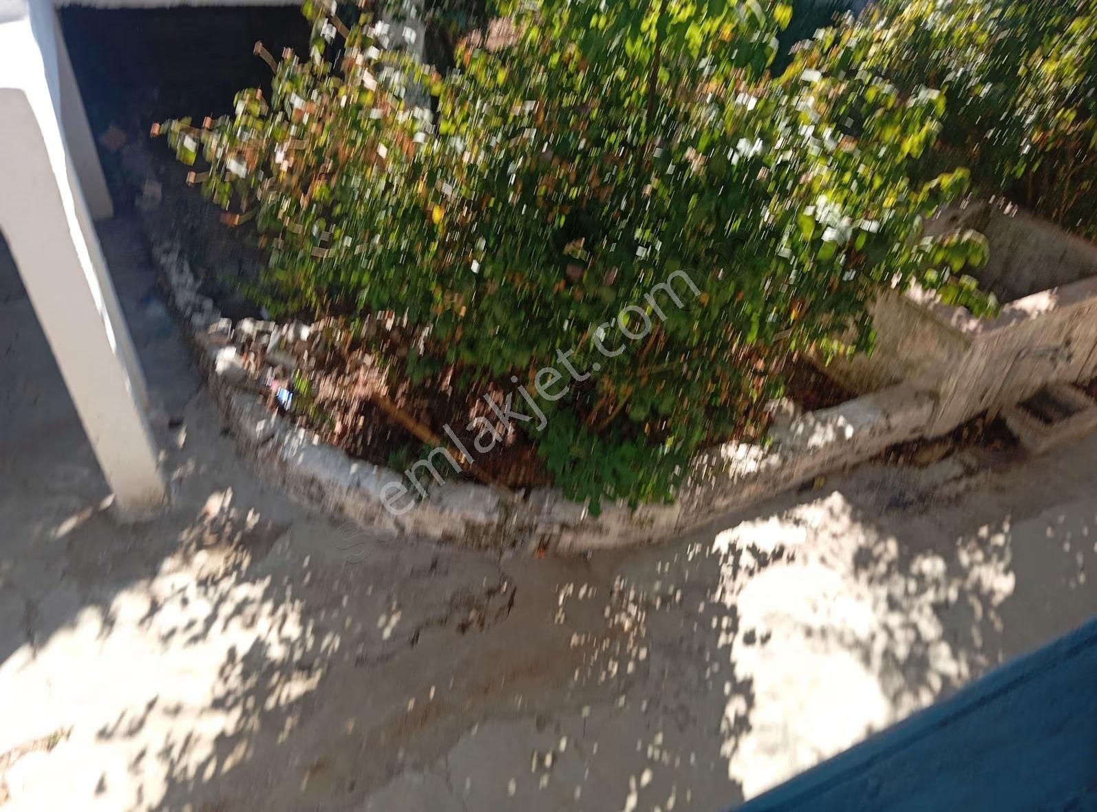 Mustakil 2 Ayrı Haneli Bahçeli Meyveli - Görsel 12