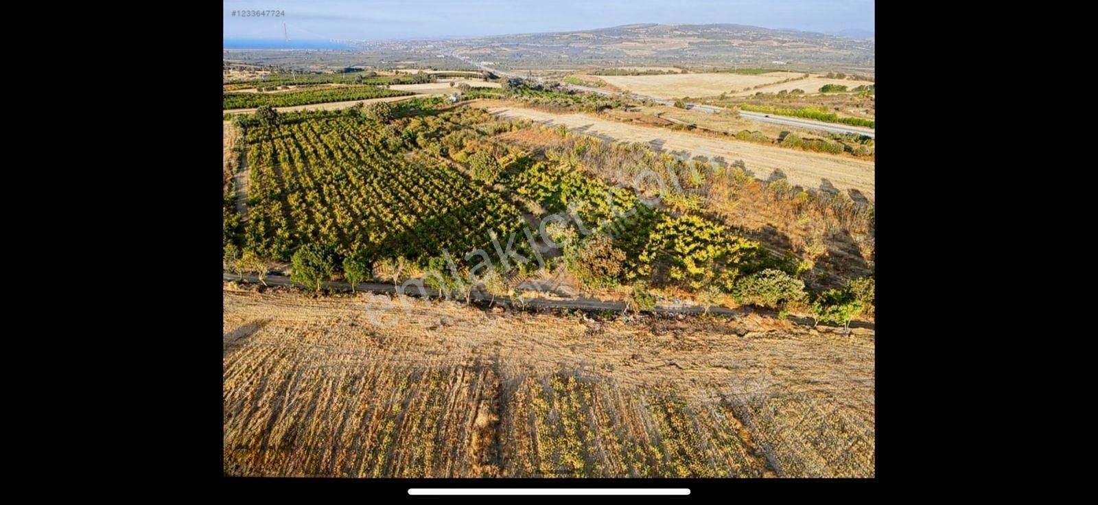 Çanakkale Labseki Kangırlı Satılık Tarla - Görsel 7