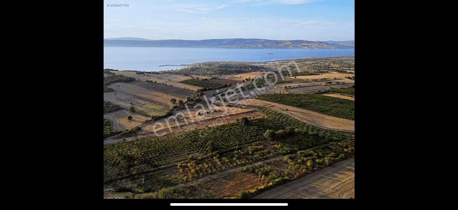 Çanakkale Labseki Kangırlı Satılık Tarla - Görsel 11