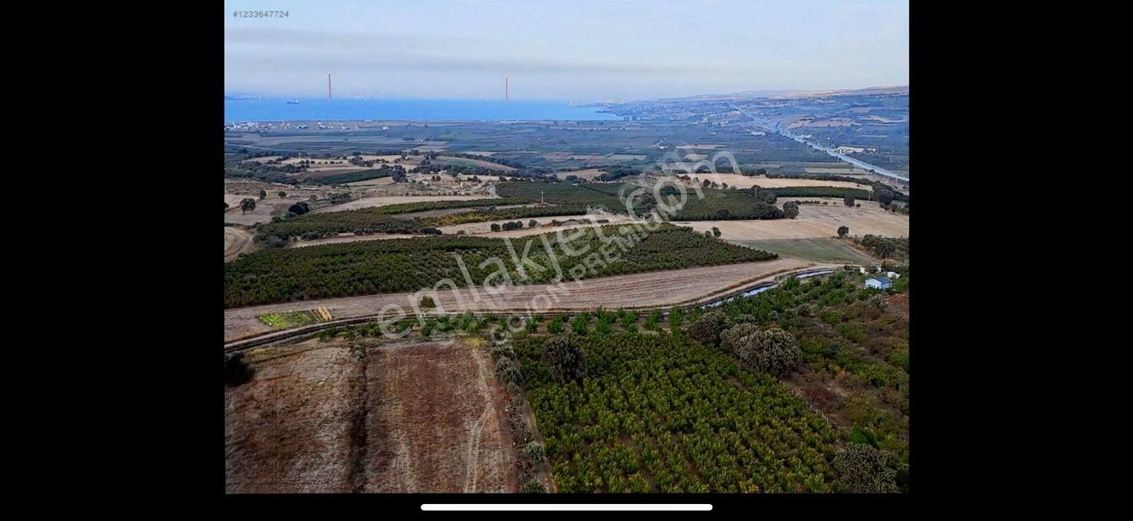 Çanakkale Labseki Kangırlı Satılık Tarla - Görsel 13