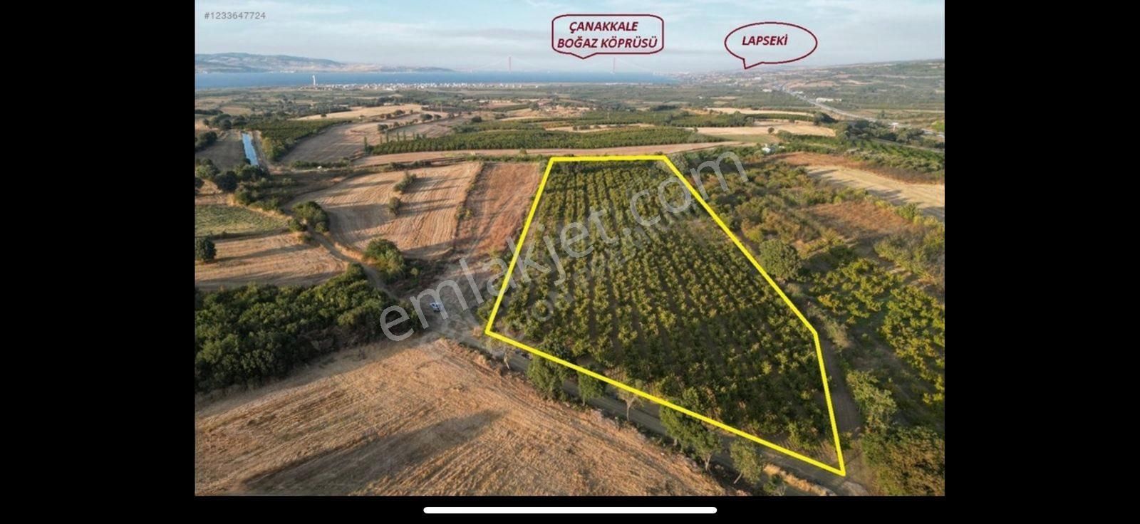 Çanakkale Labseki Kangırlı Satılık Tarla - Görsel 2