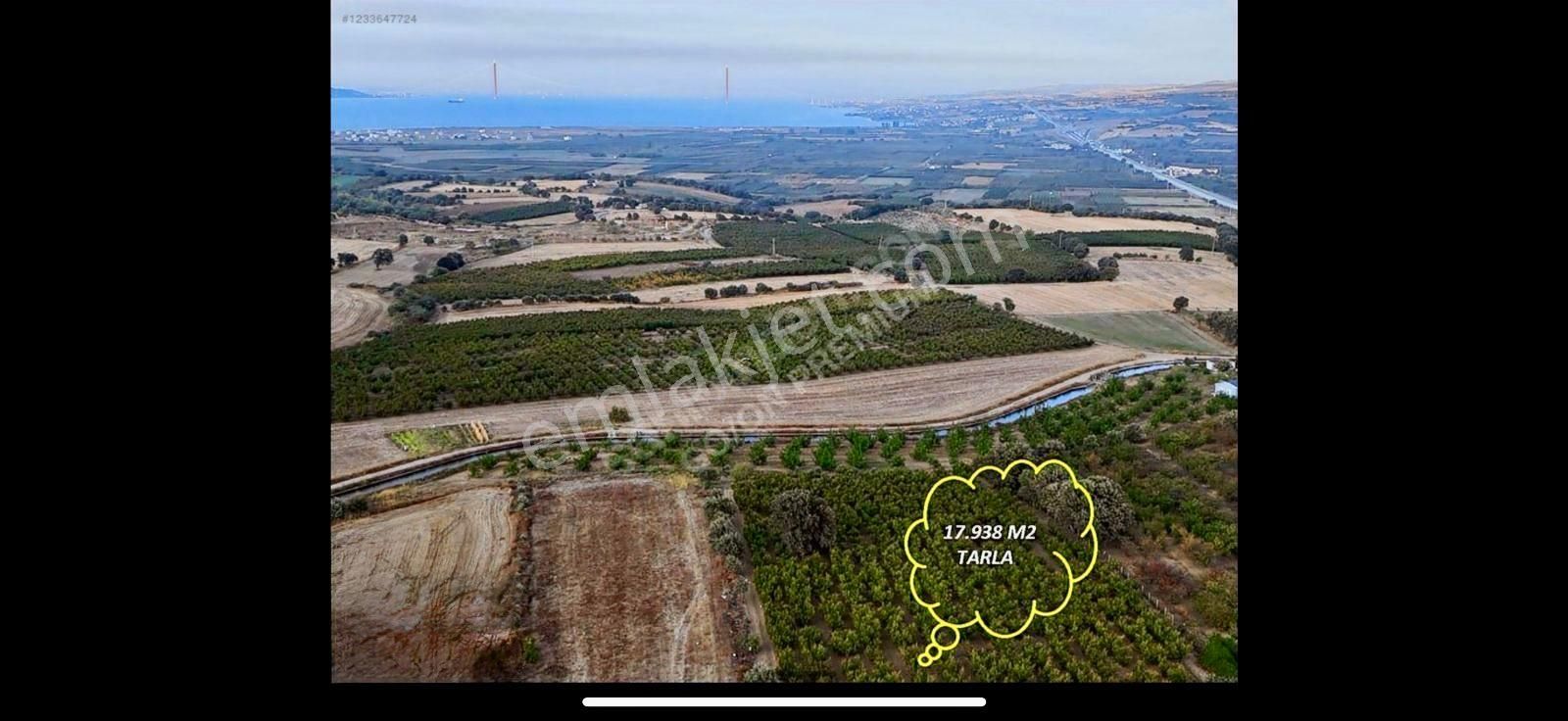 Çanakkale Labseki Kangırlı Satılık Tarla - Görsel 4