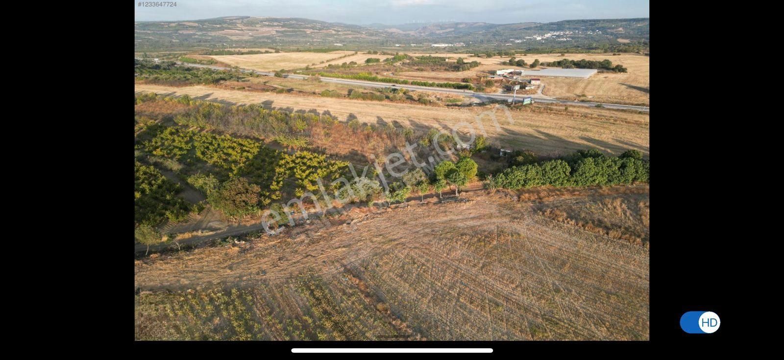 Çanakkale Labseki Kangırlı Satılık Tarla - Görsel 5