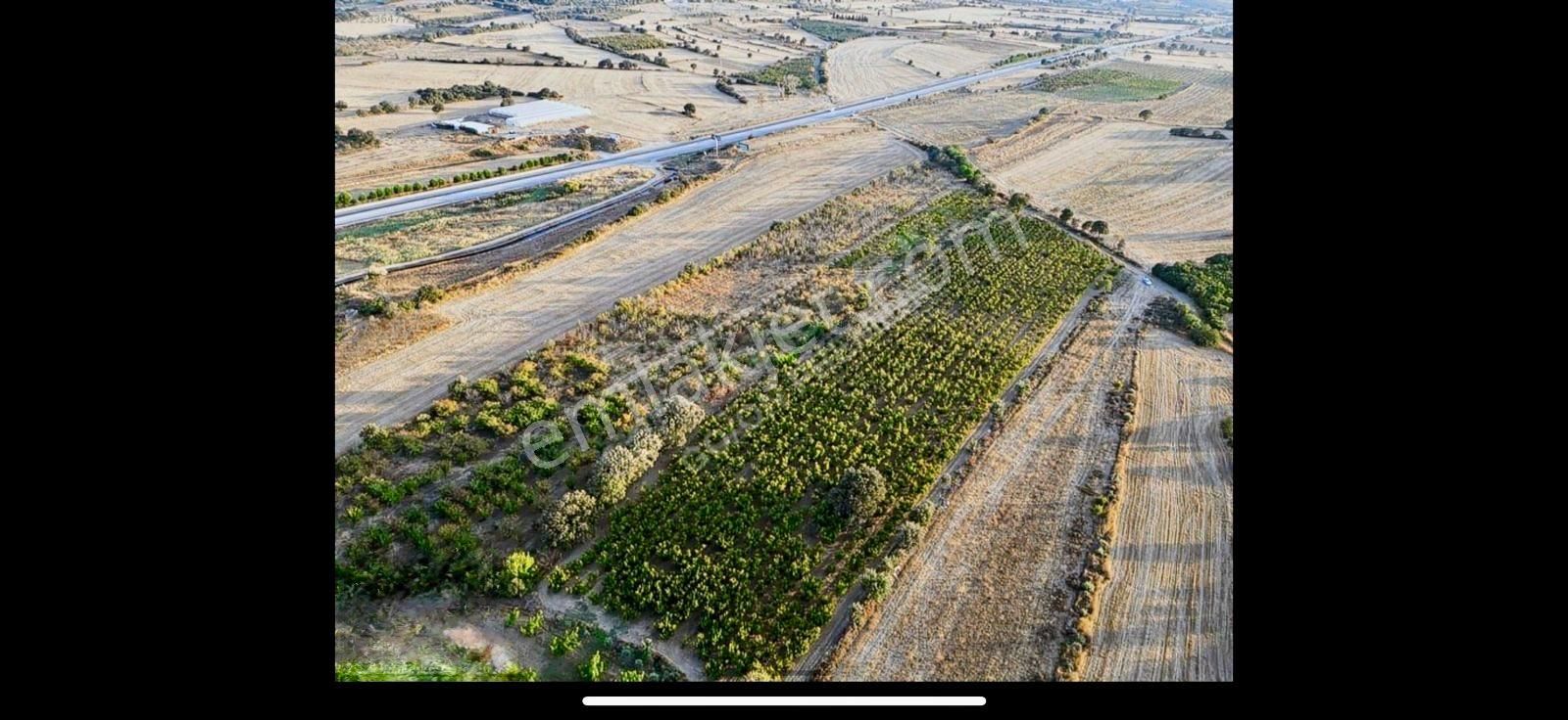 Çanakkale Labseki Kangırlı Satılık Tarla - Görsel 19