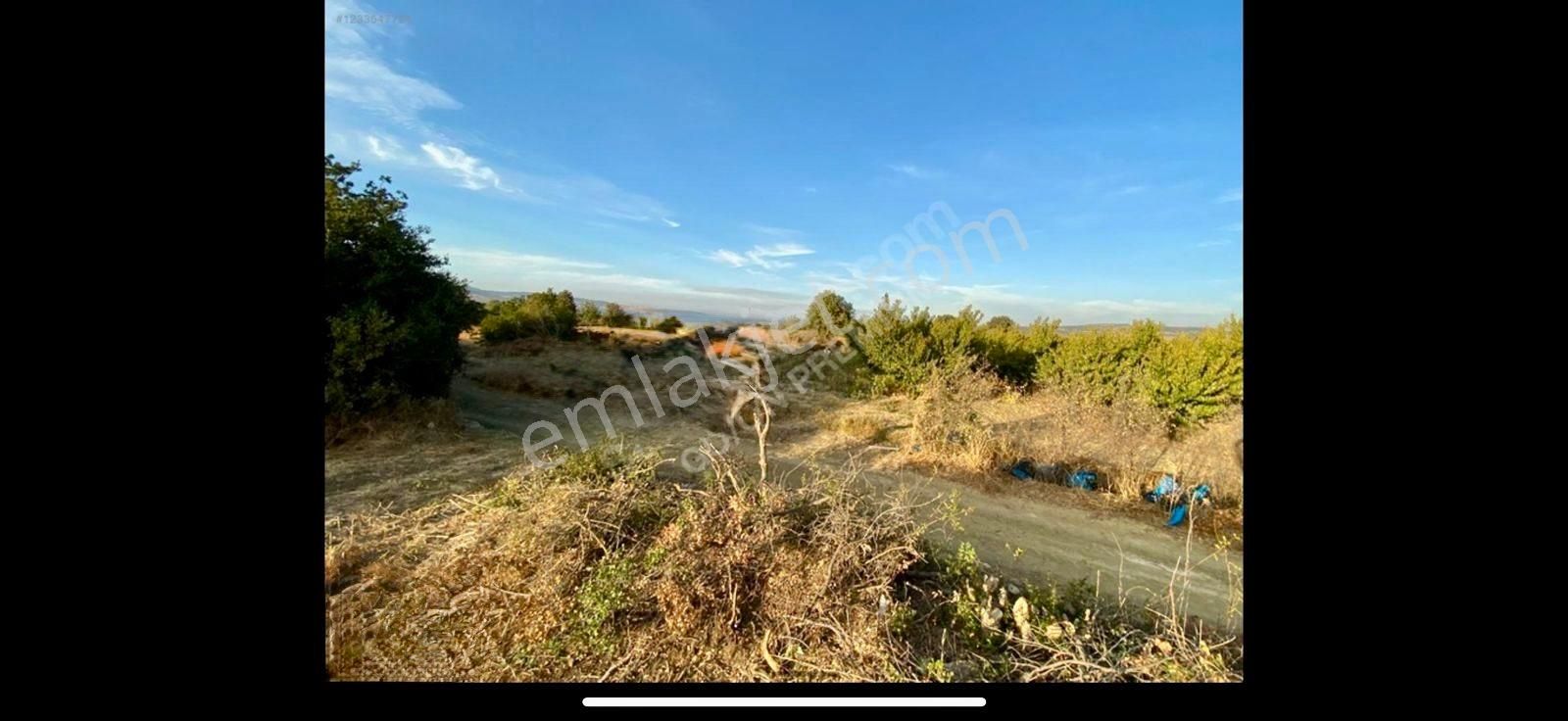 Çanakkale Labseki Kangırlı Satılık Tarla - Görsel 23