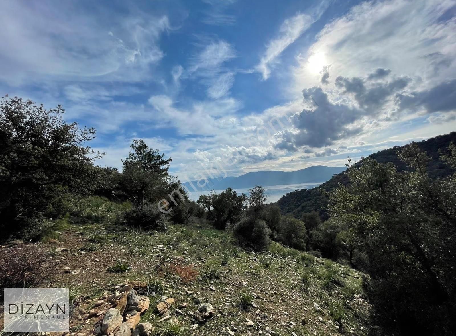 Serçin Kışlak Full Bafa Gölü Latmos Manzaralı 1822m2 Zeytinlik - Görsel 4