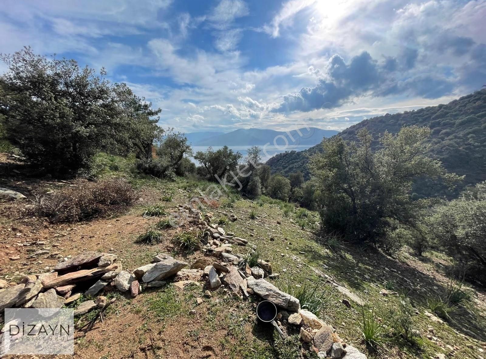 Serçin Kışlak Full Bafa Gölü Latmos Manzaralı 1822m2 Zeytinlik - Görsel 7