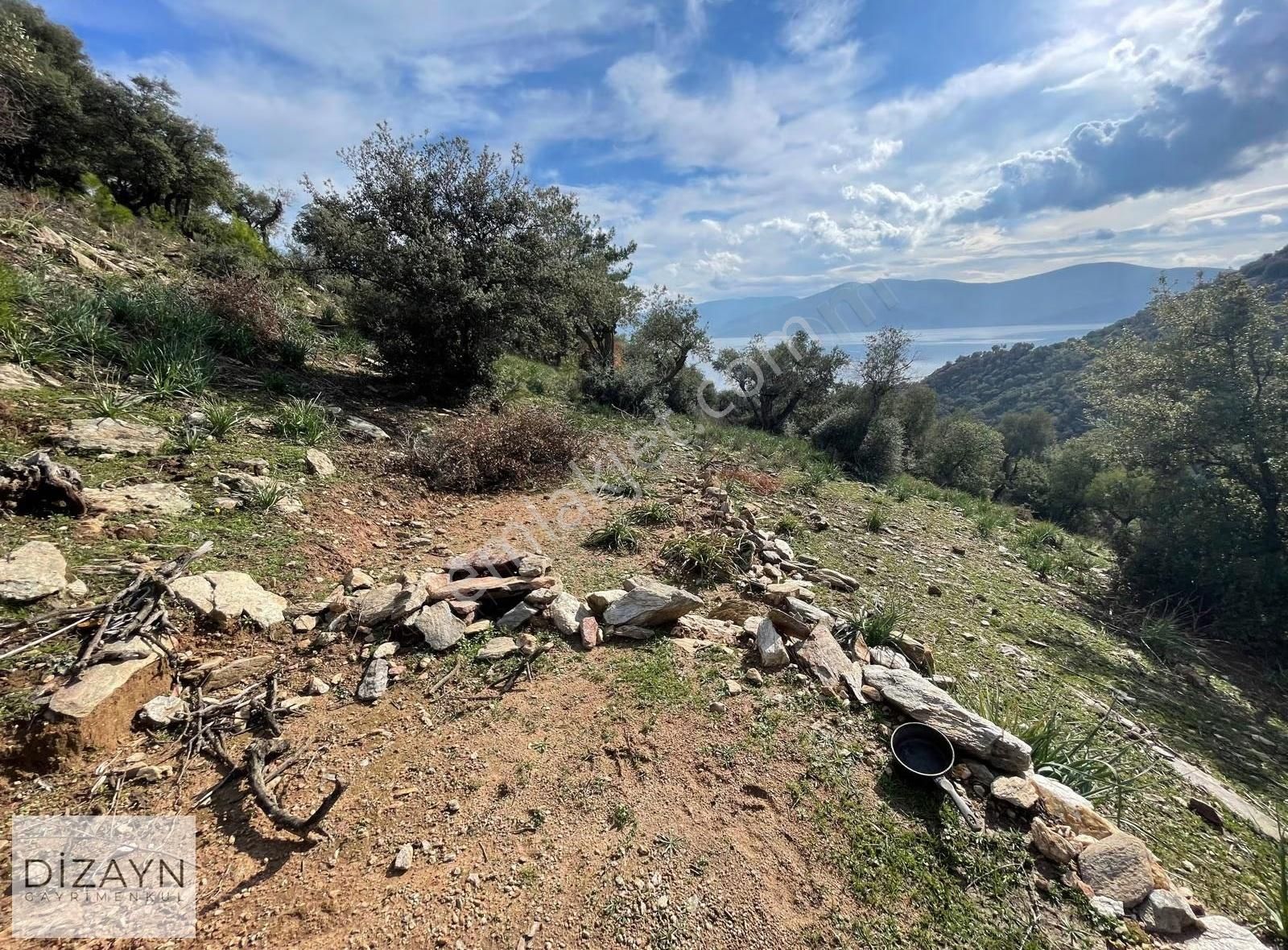 Serçin Kışlak Full Bafa Gölü Latmos Manzaralı 1822m2 Zeytinlik - Görsel 3
