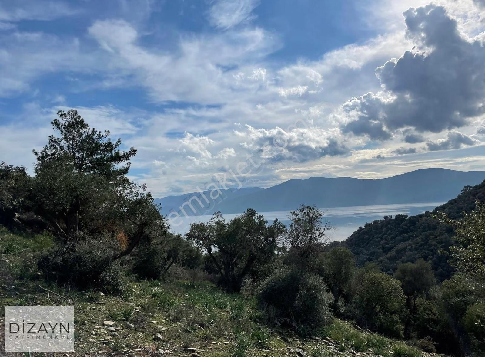 Serçin Kışlak Full Bafa Gölü Latmos Manzaralı 1822m2 Zeytinlik - Görsel 2