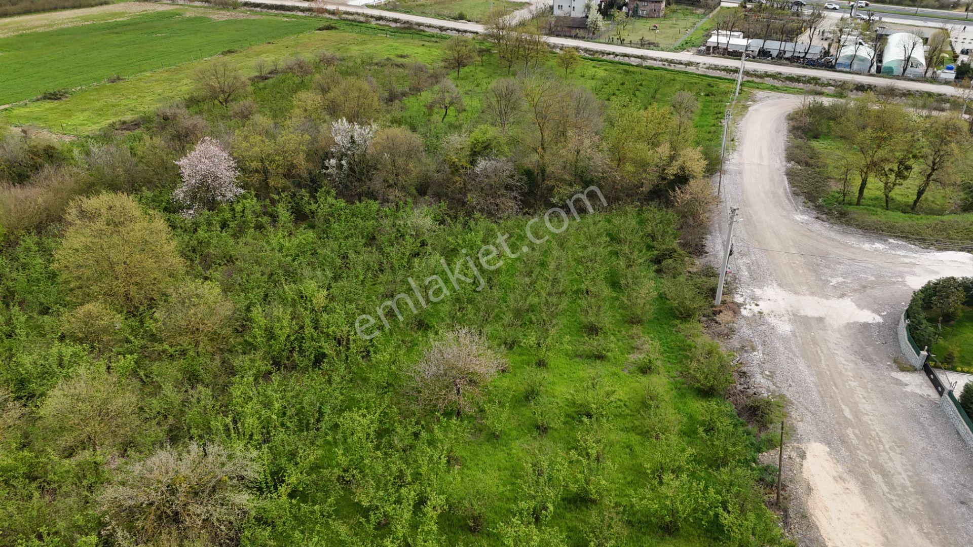 Konuralp'te 4 Kat %35 Konut İmarlı Satılık 922 M2 Parsel - Görsel 23