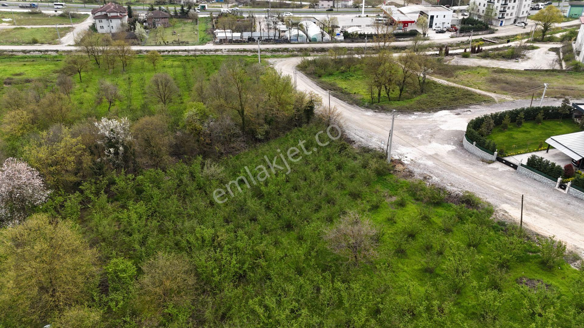 Konuralp'te 4 Kat %35 Konut İmarlı Satılık 922 M2 Parsel - Görsel 4