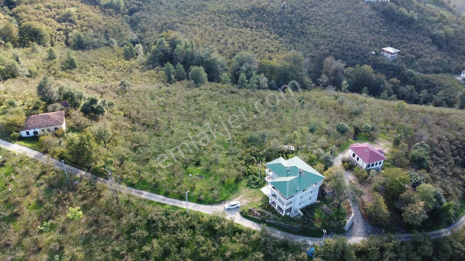 Trabzon Arsin Harmanlı Mahallesinde Satılık Düz Fındık Bahçesi - Görsel 27