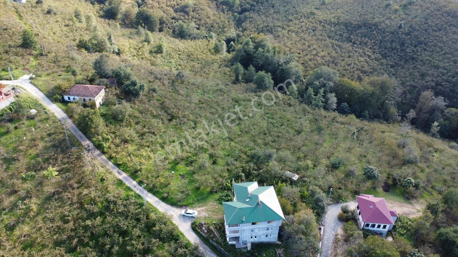Trabzon Arsin Harmanlı Mahallesinde Satılık Düz Fındık Bahçesi - Görsel 22