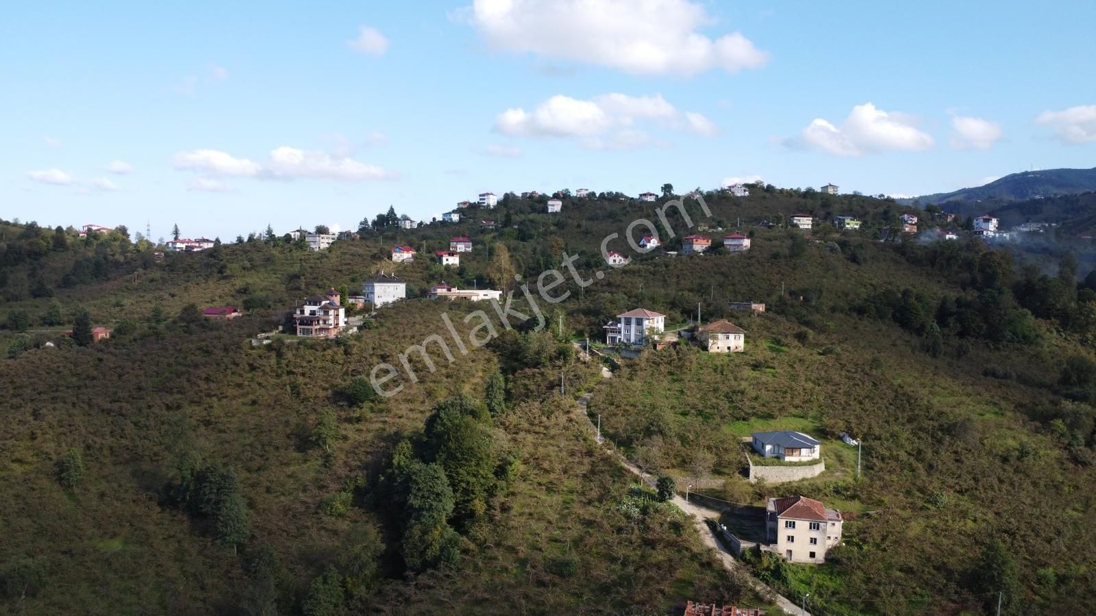 Trabzon Arsin Harmanlı Mahallesinde Satılık Düz Fındık Bahçesi - Görsel 21