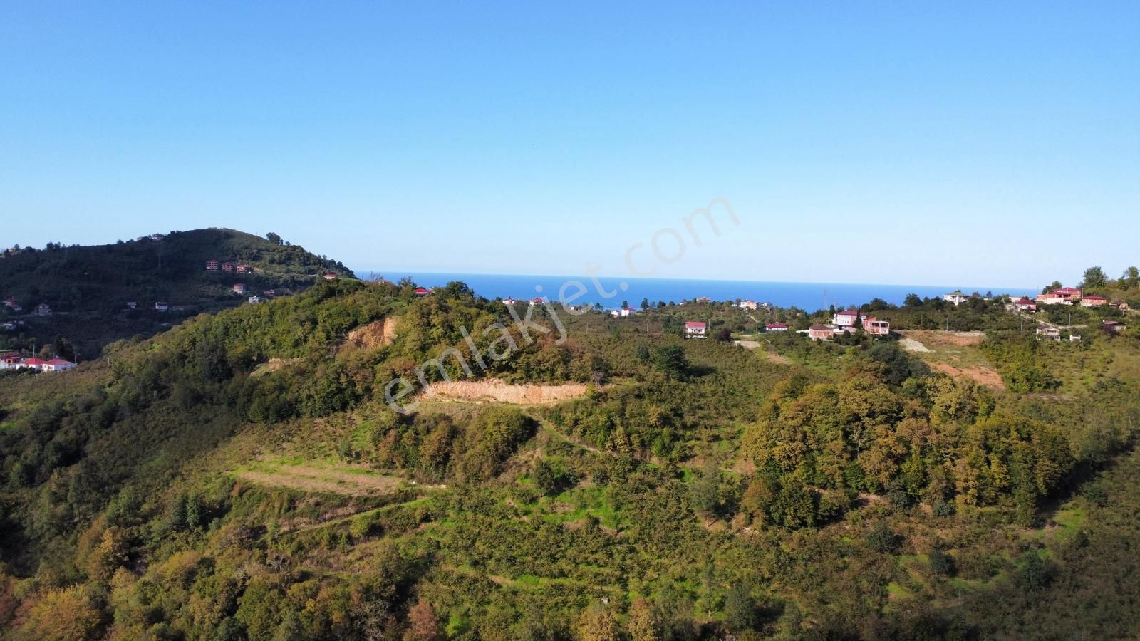 Trabzon Arsin Harmanlı Mahallesinde Satılık Düz Fındık Bahçesi - Görsel 17
