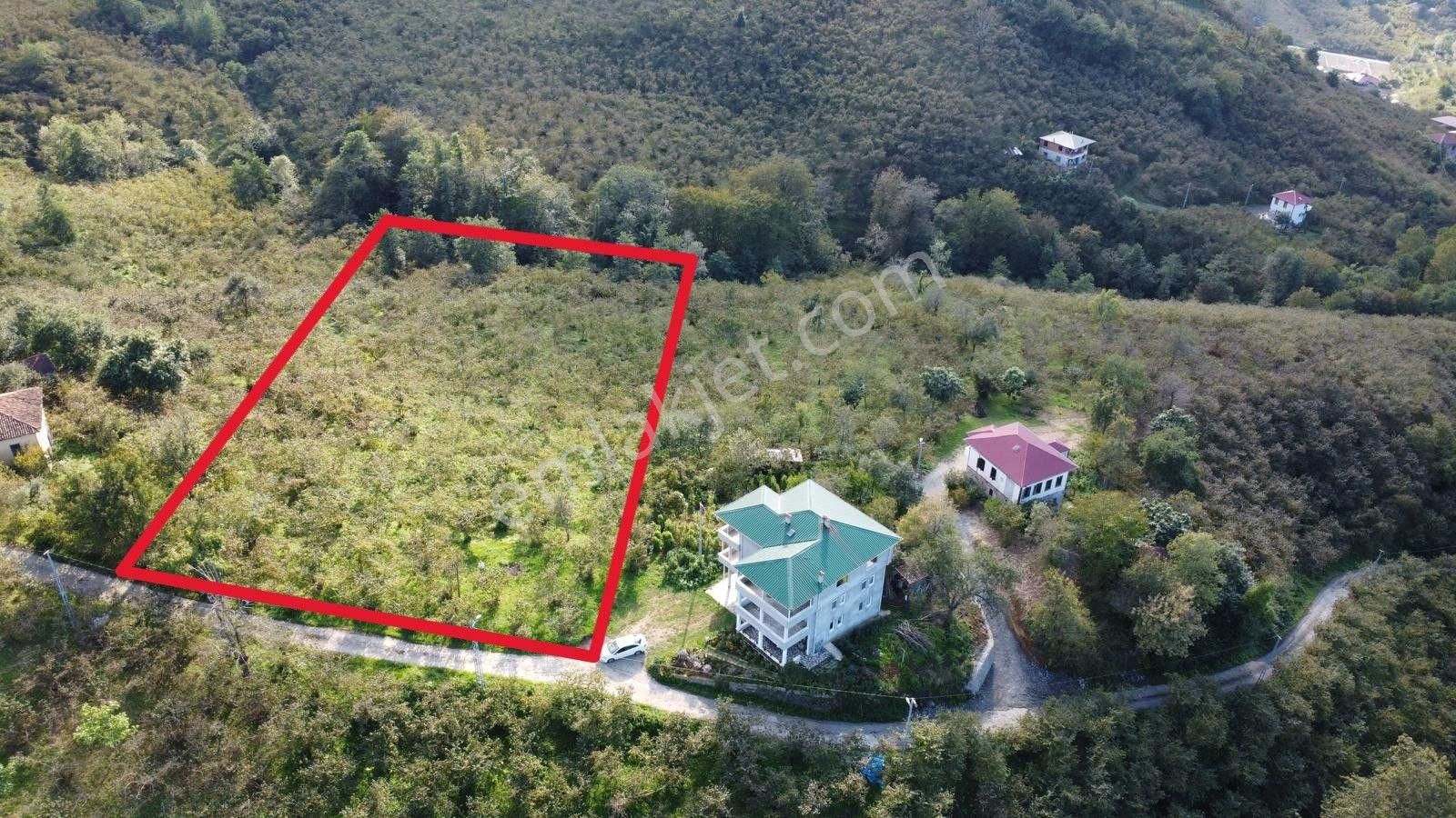 Trabzon Arsin Harmanlı Mahallesinde Satılık Düz Fındık Bahçesi - Görsel 16