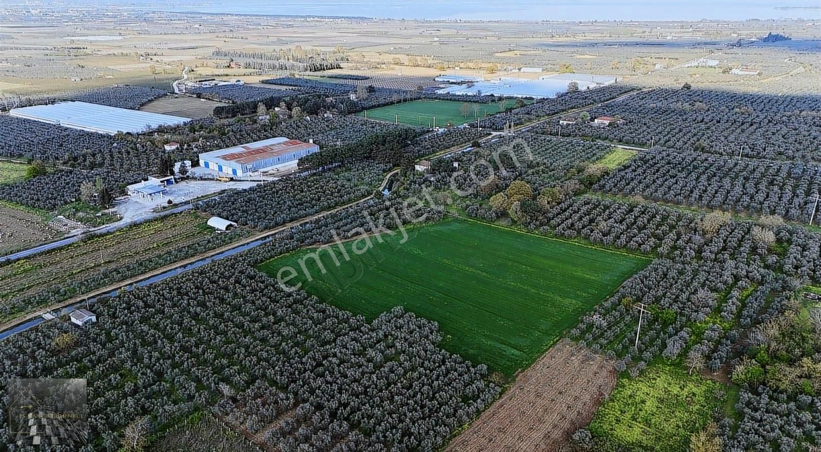 Orhangazi Gürle İşletmelere Ve Asflata Yakın Yatırımlık Tarla - Görsel 8