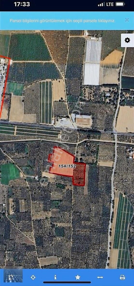 Orhangazi Gürle İşletmelere Ve Asflata Yakın Yatırımlık Tarla - Görsel 6