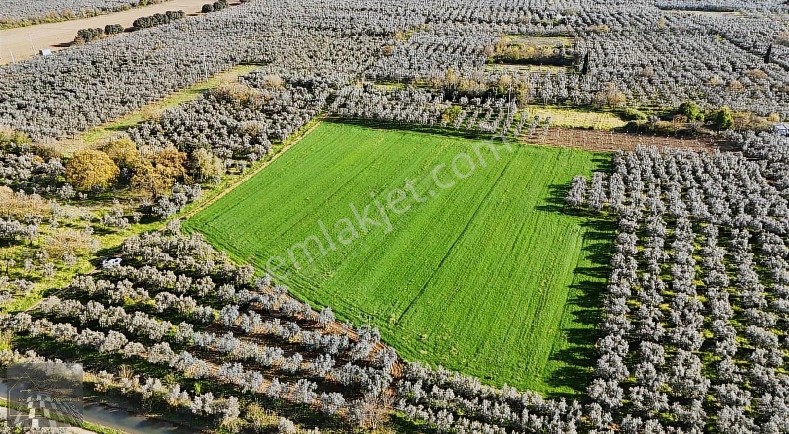Orhangazi Gürle İşletmelere Ve Asflata Yakın Yatırımlık Tarla - Görsel 11