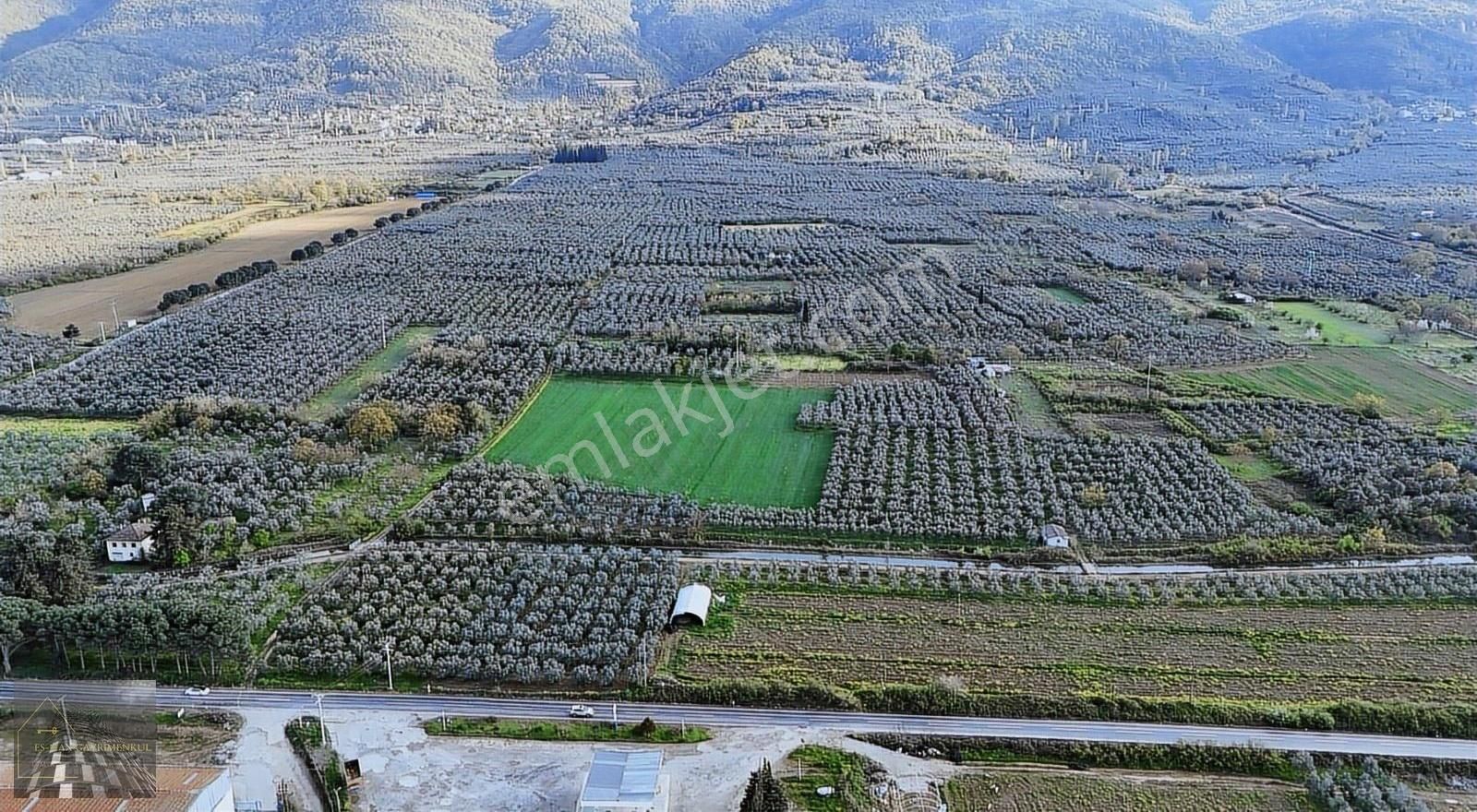 Orhangazi Gürle İşletmelere Ve Asflata Yakın Yatırımlık Tarla - Görsel 3