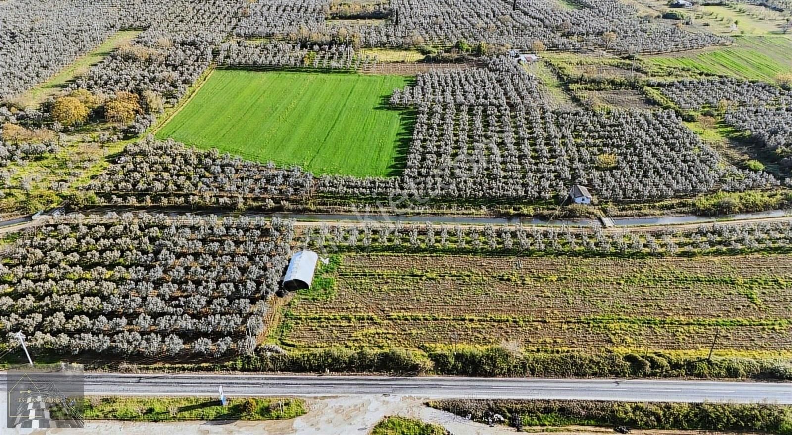 Orhangazi Gürle İşletmelere Ve Asflata Yakın Yatırımlık Tarla - Görsel 15