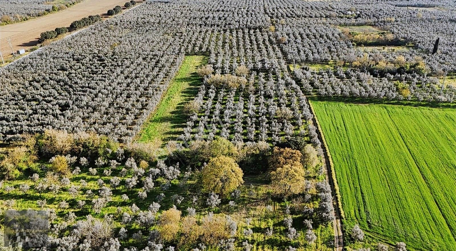 Orhangazi Gürle İşletmelere Ve Asflata Yakın Yatırımlık Tarla - Görsel 20