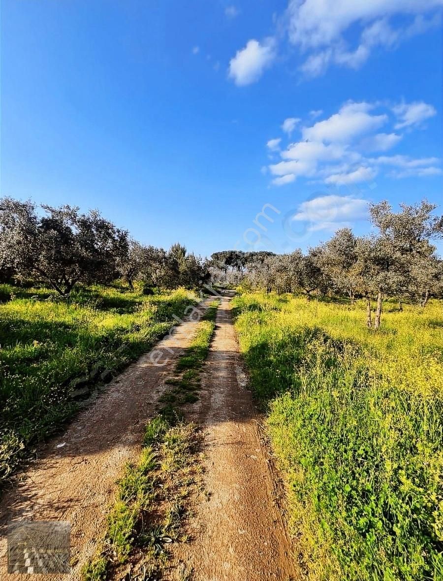 Orhangazi Gürle İşletmelere Ve Asflata Yakın Yatırımlık Tarla - Görsel 18