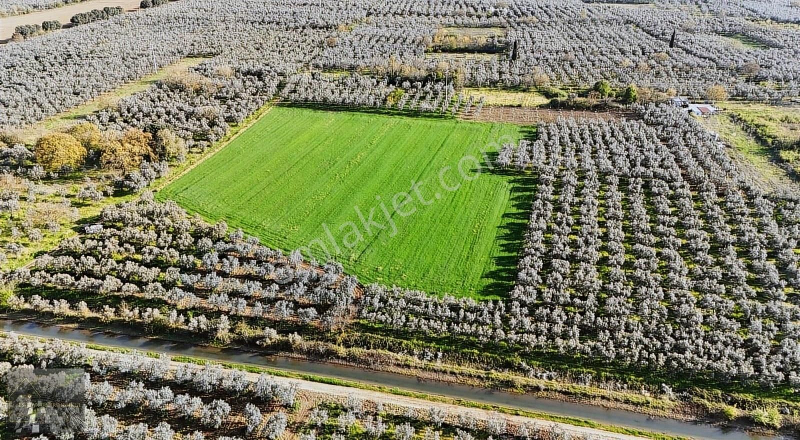 Orhangazi Gürle İşletmelere Ve Asflata Yakın Yatırımlık Tarla - Görsel 13