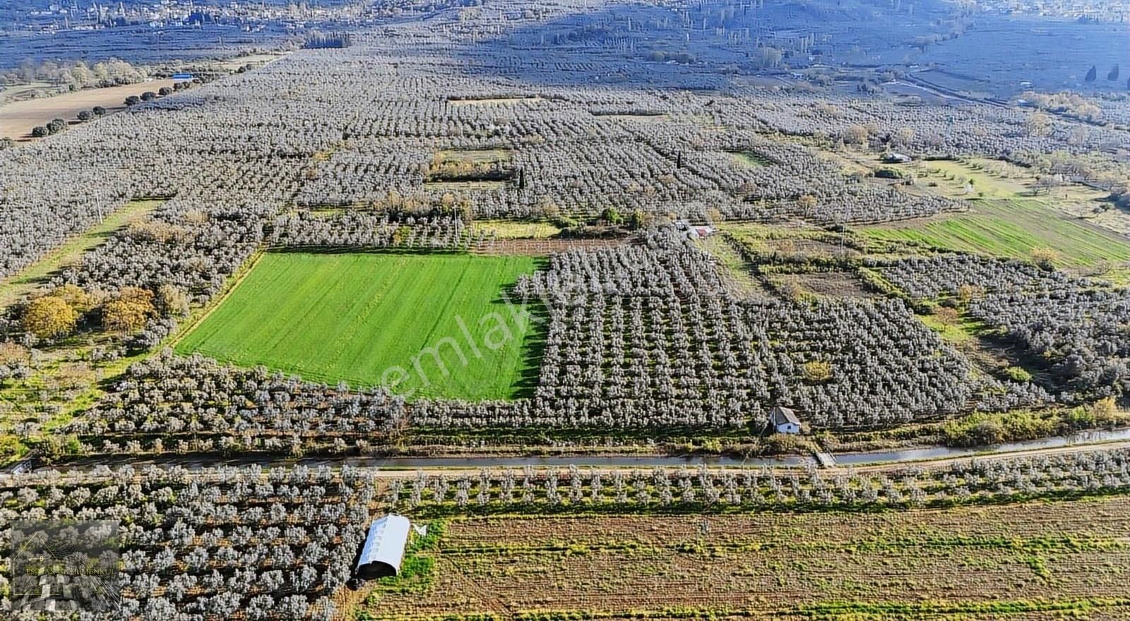 Orhangazi Gürle İşletmelere Ve Asflata Yakın Yatırımlık Tarla - Görsel 14