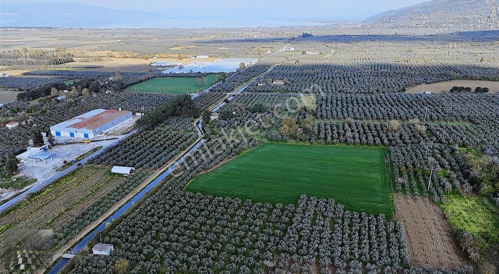 Orhangazi Gürle İşletmelere Ve Asflata Yakın Yatırımlık Tarla - Görsel 22