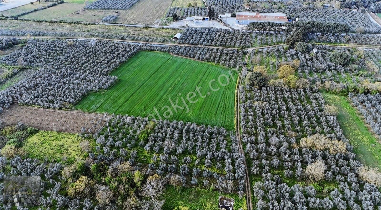 Orhangazi Gürle İşletmelere Ve Asflata Yakın Yatırımlık Tarla - Görsel 2