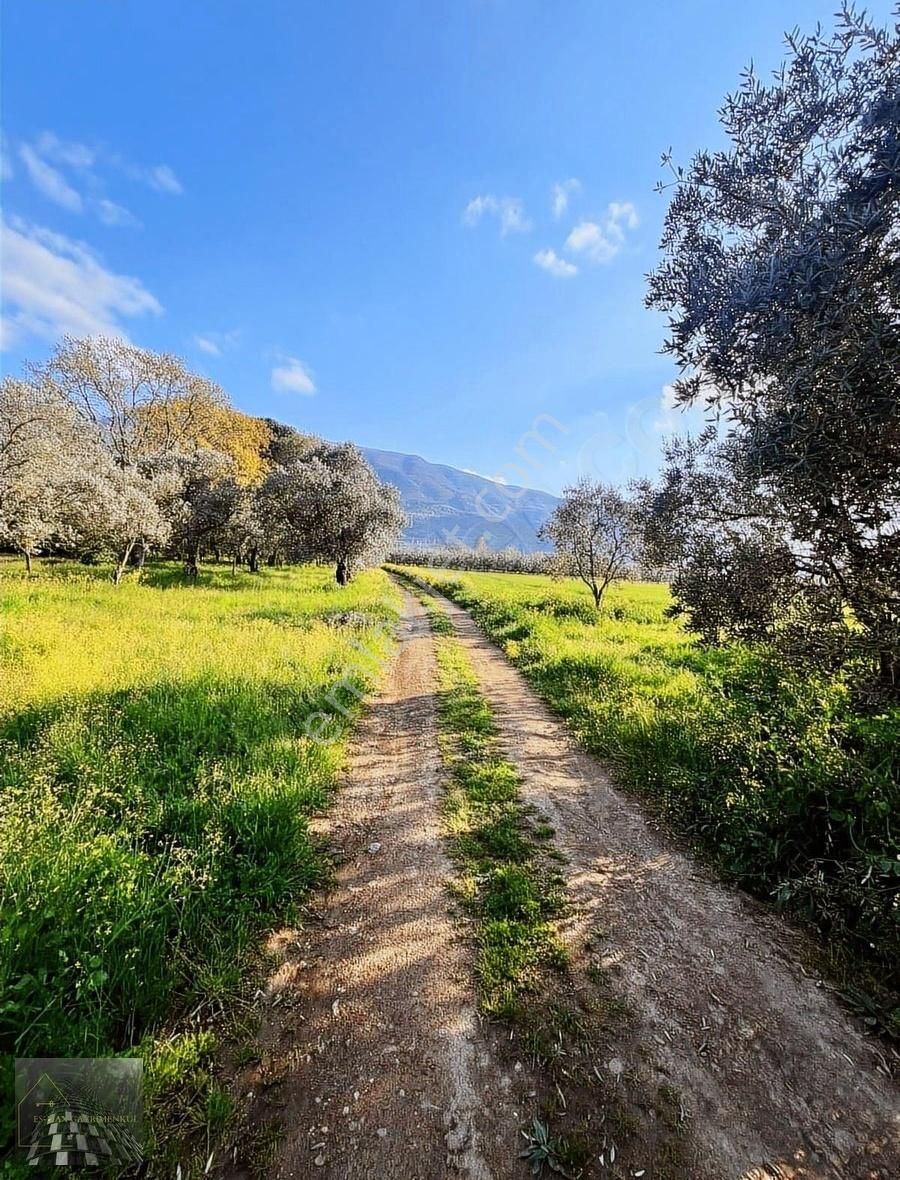 Orhangazi Gürle İşletmelere Ve Asflata Yakın Yatırımlık Tarla - Görsel 16